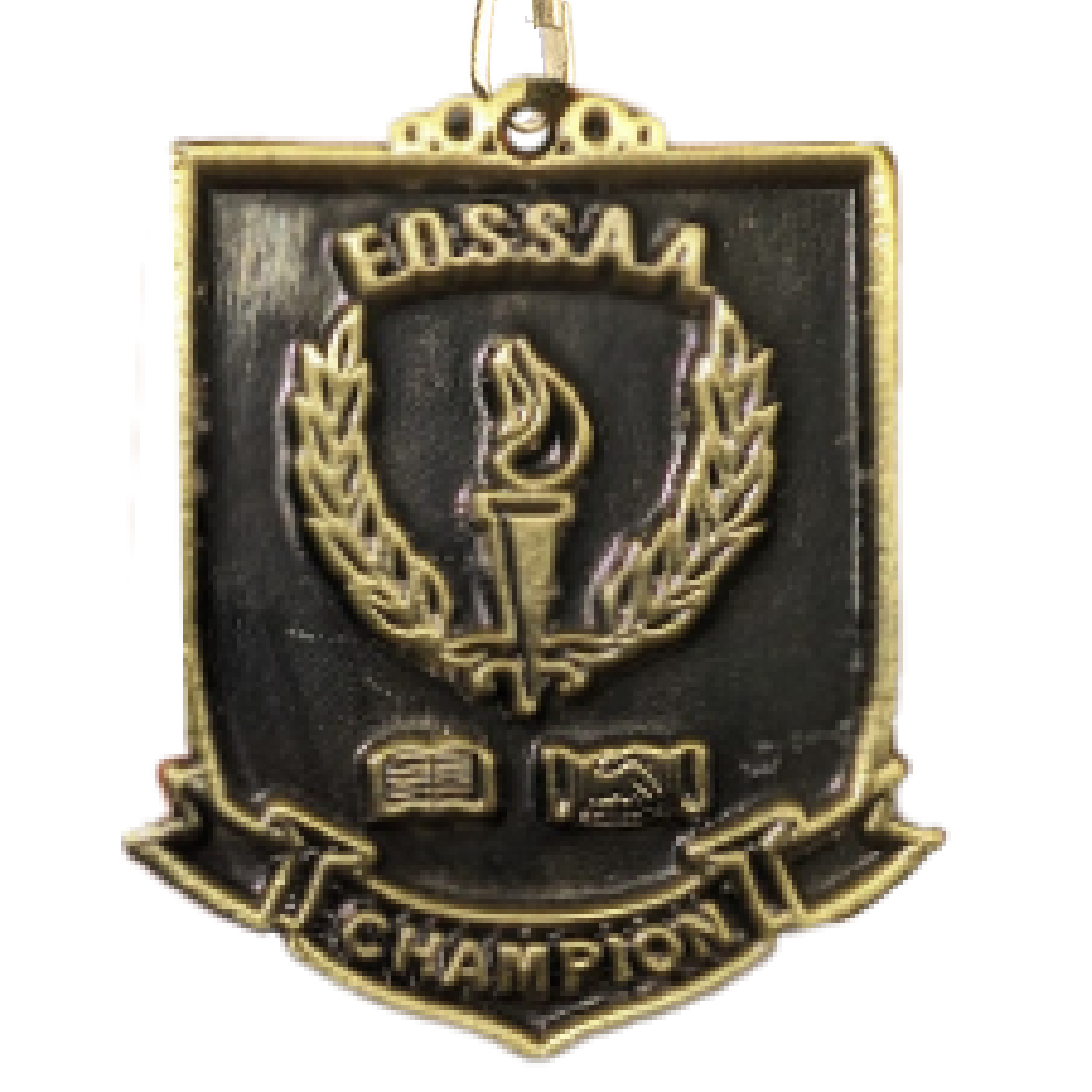 EOSSAA - Customized Medals with Neck Ribbons