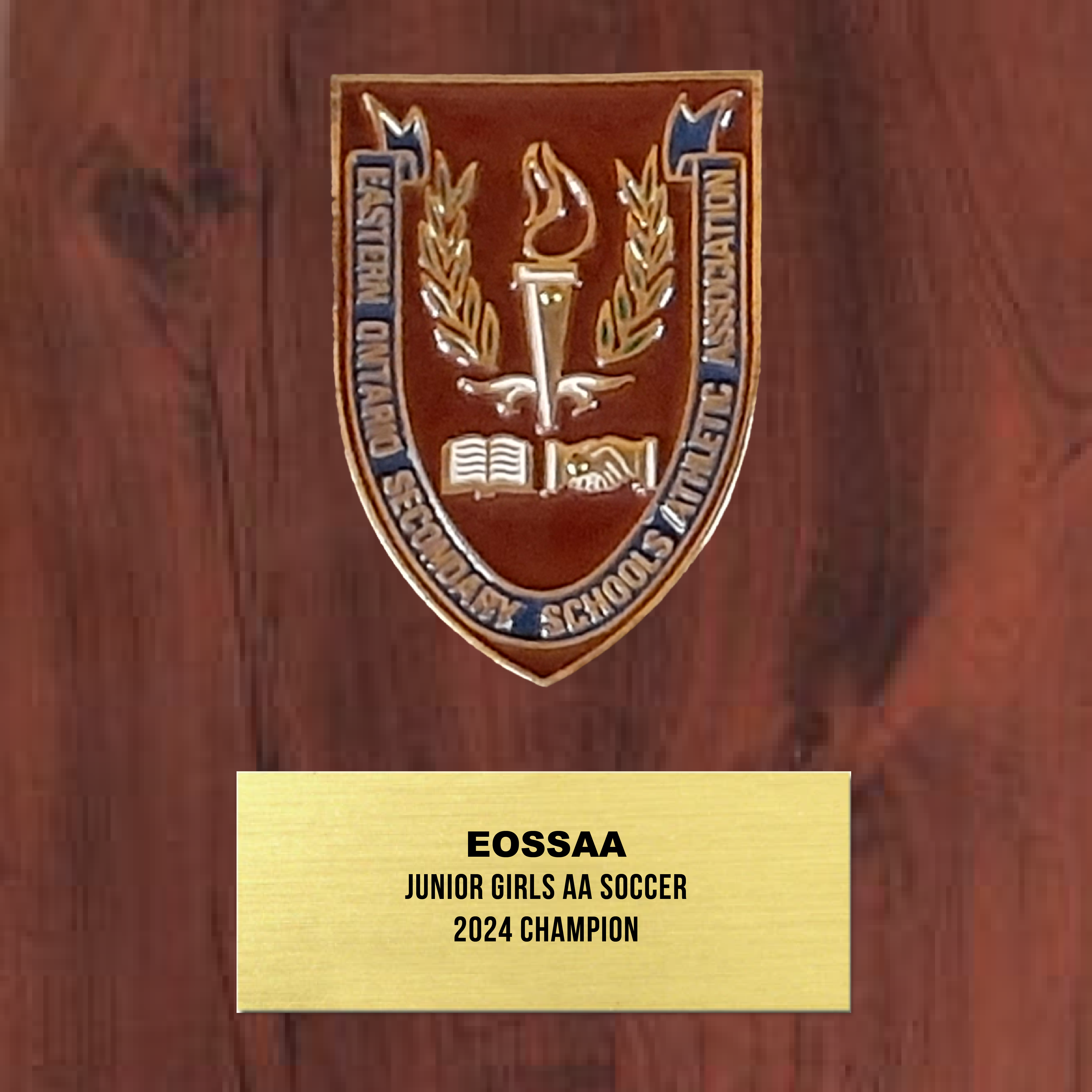 EOSSAA - Plaques de récompense en bois personnalisées avec plaques de métal gravées